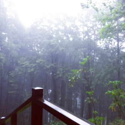 这也不是遗憾，而是缘分呐~有多少人能看到雨中烟雾迷蒙的阿里山呢，有几个瞬间，我又感觉我置身于哈利波特那样的魔法世界里了(～￣▽￣)～~~