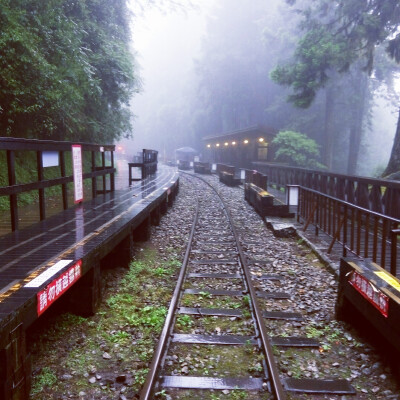 还是坐小火车下山