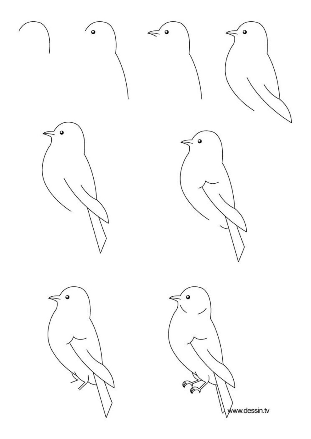 123画小鸟步骤简单图片