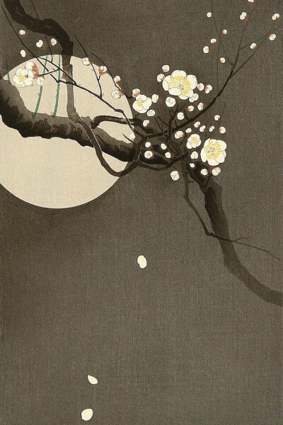 Flowering Plum and Moon 小原古邨作品：梅花与月亮