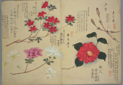 梅园百花画谱（一）——春の部