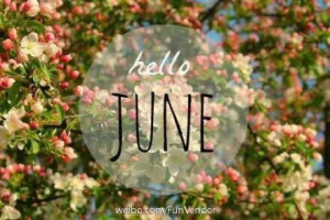 June~#图侵删#