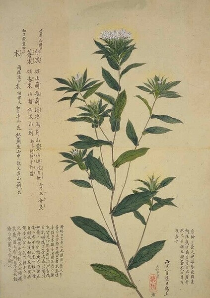 梅园百花画谱（三）——秋の部