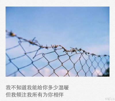 我不知道我能给你多少温暖 但我倾注所有为你相伴