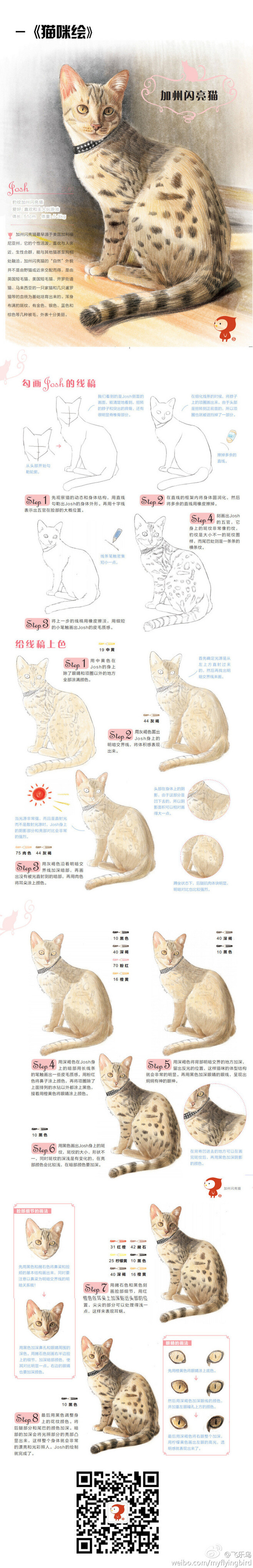 彩铅画，猫咪绘