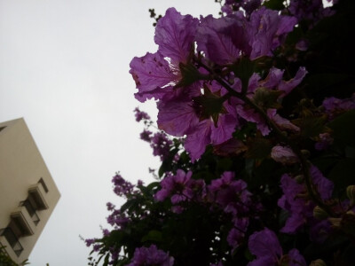 仰拍怎么有种忧伤的感觉