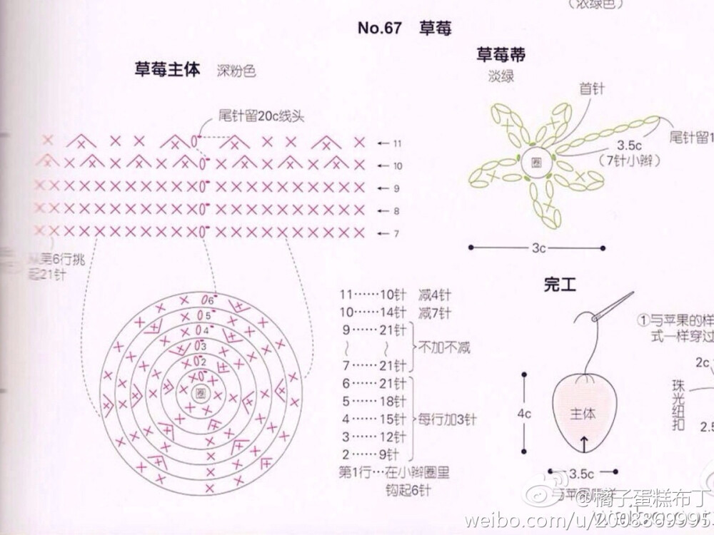 草莓图解