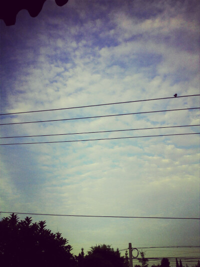 这样的天空，我们还能看多久？