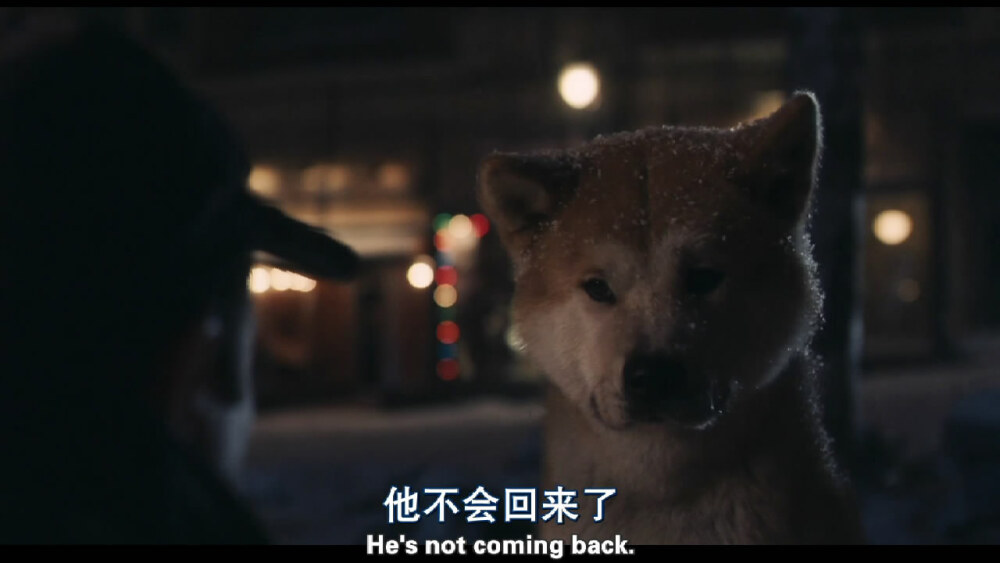 忠犬八公的故事