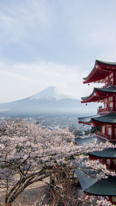 富士山