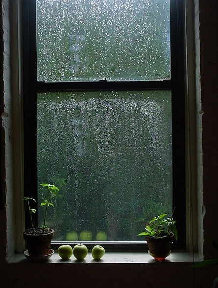 这雨还要下了好久，这么久的雨把我阳光都给淹没了。其实最近并不顺利，加上刚才做听力，8个题错了5个，挫败感X5，马上又要考级了，白天什么都不想干，晚上才来赶赶赶，真的是讨厌这么弱的自己，快点改变啊啊啊啊啊啊