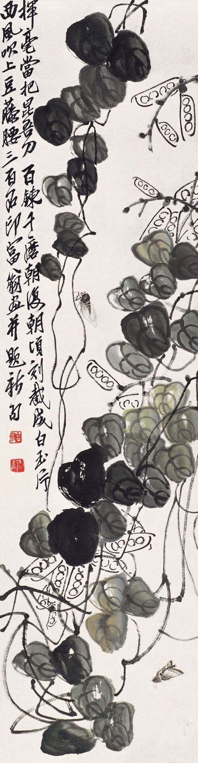 齐白石88岁画的蝉