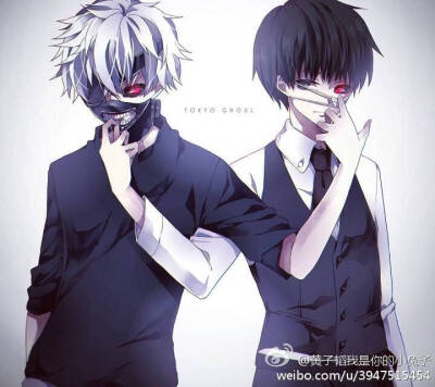 东京吃货 喰种 金木小天使 白毛 黑毛 二次元 美图