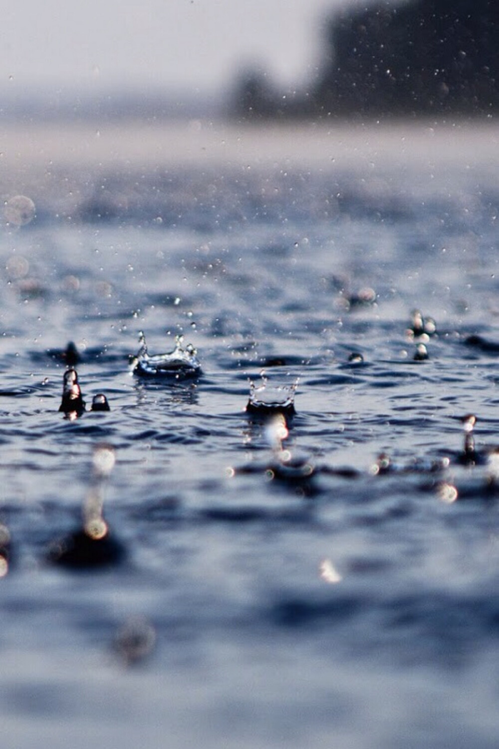 雨季。水滴