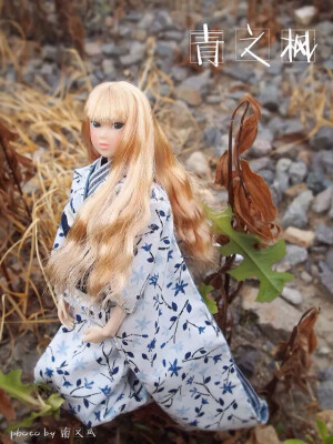 momoko 14hb