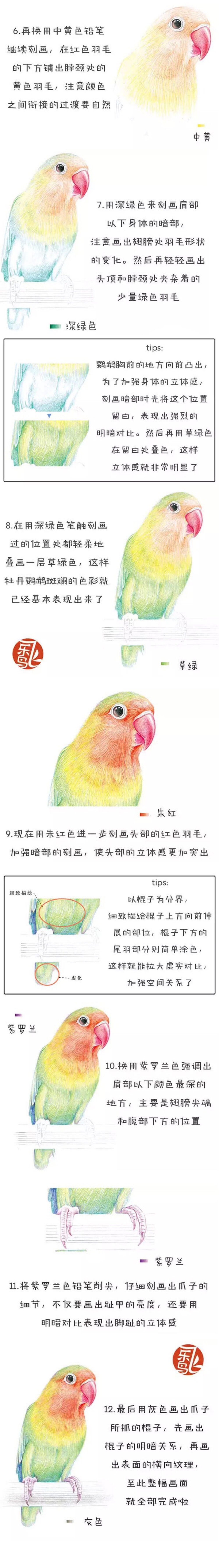 飞乐鸟彩铅绘画教程 侵删