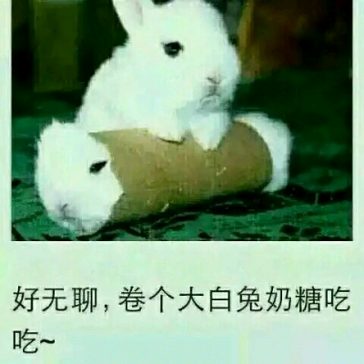 好无聊，卷个大白兔奶糖吃着