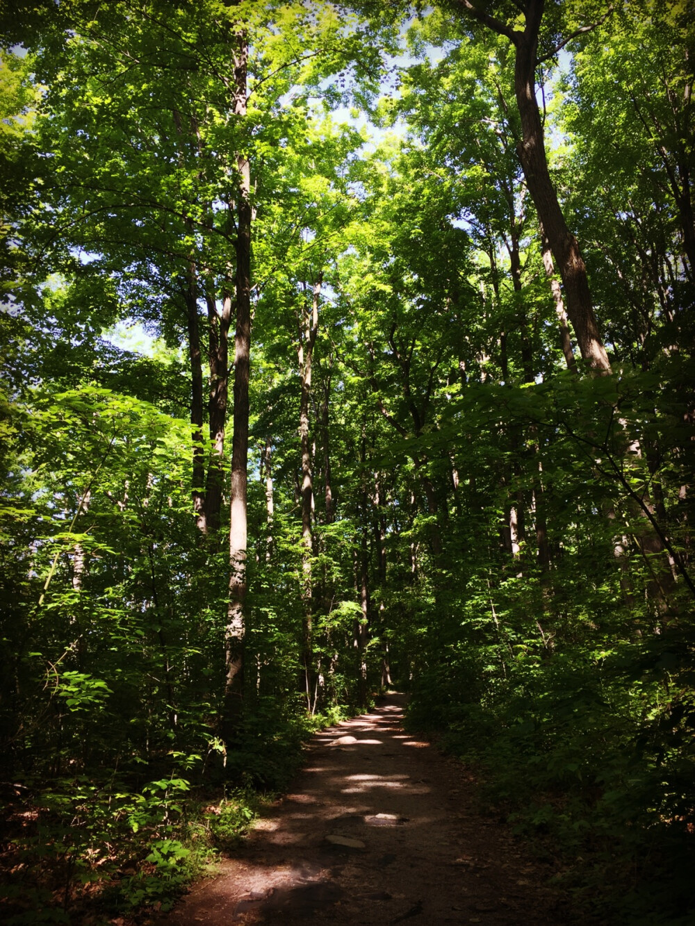 Rattlesnake point, Milton, Ontario. Hiking.