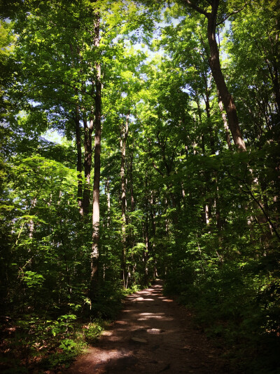 Rattlesnake point, Milton, Ontario. Hiking.