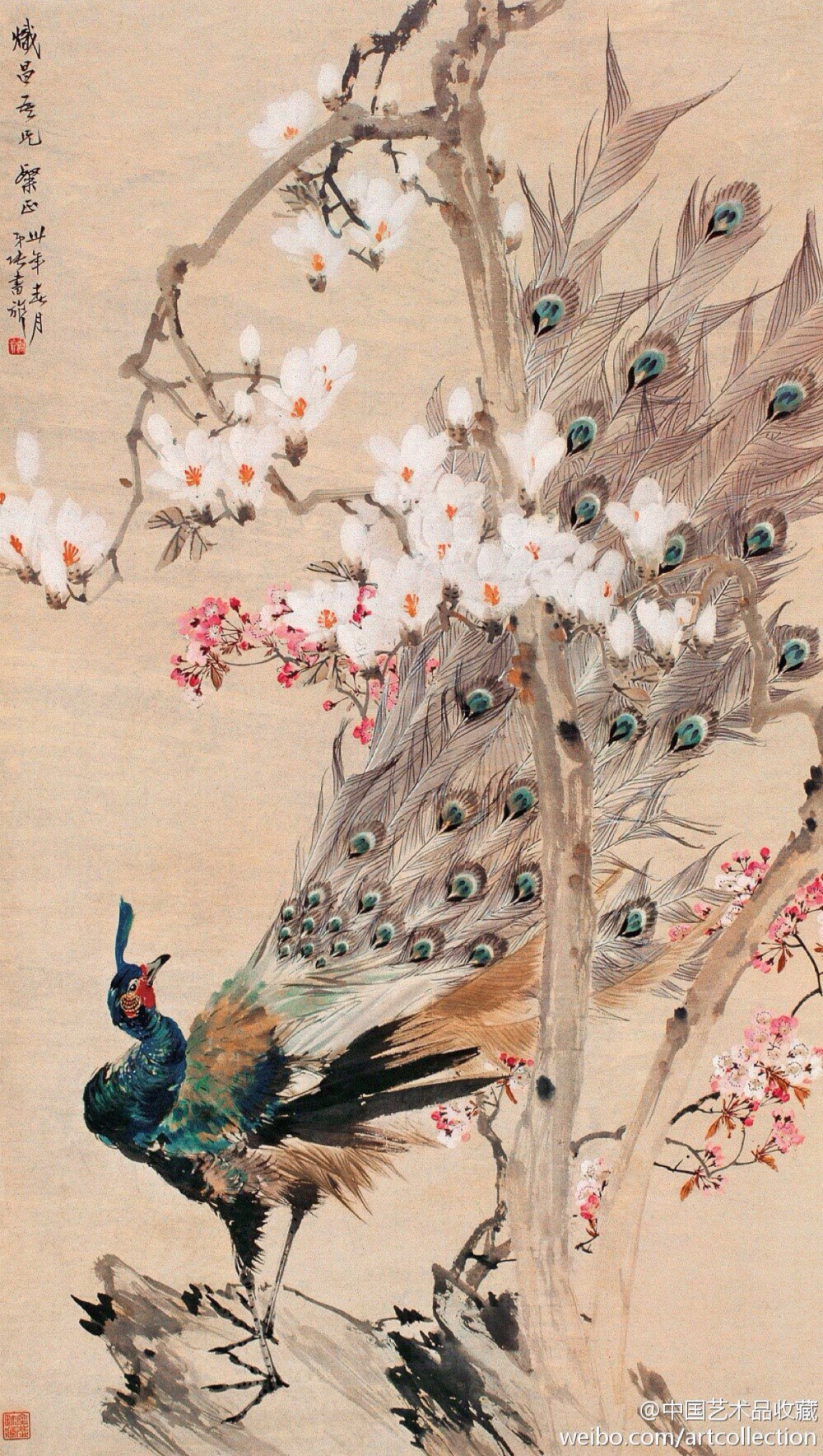 【 张书旂 《花鸟图》 】张书旂（1900-1957）的花鸟画，继承了中国画以形写神的传统创作方法。张书旂觉得师古人、师前人莫如师自然更生动。他每于清晨薄暮，蹲身秘处，窥视鸟儿之神态，故所作花鸟画，纯从写生中得来，动作的自然，色彩的正确，乃在写生之外，另有观察的工夫和心中意会的结果。