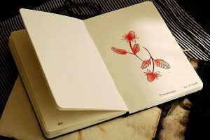 平面设计师Mariana Newlands关于植物的创意插画本