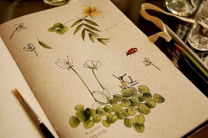 平面设计师Mariana Newlands关于植物的创意插画本