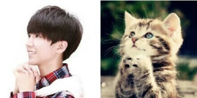 小凯在干嘛啊？