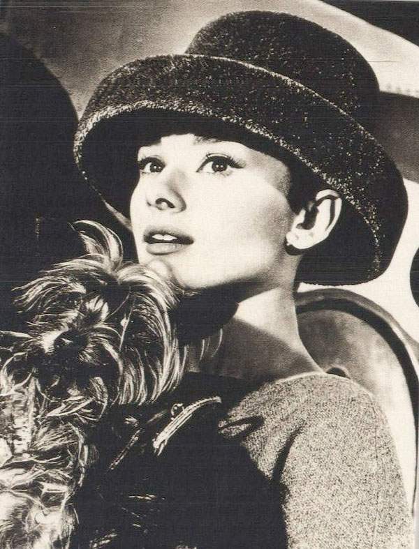 奥黛丽·赫本（Audrey Hepburn），1929年5月4日出生于比利时布鲁塞尔，英国电影和舞台剧女演员。