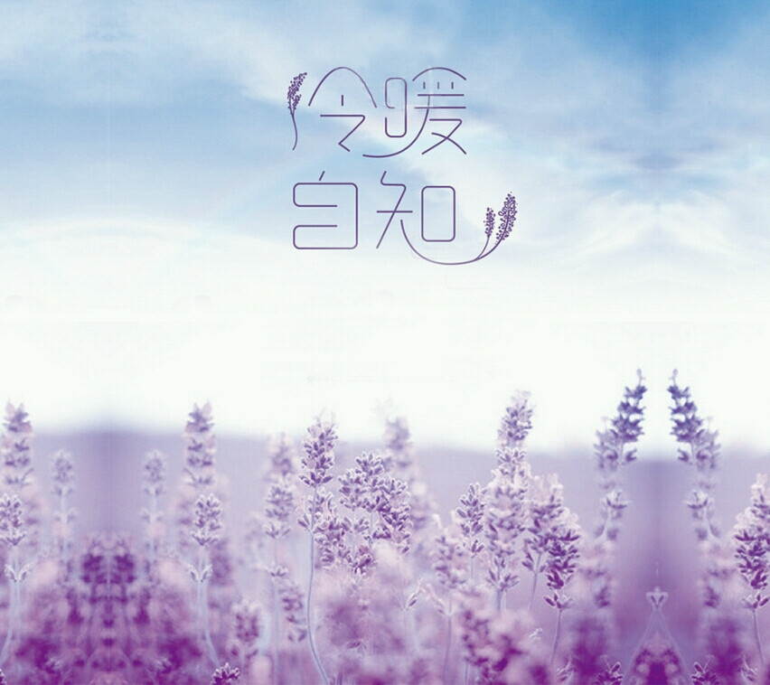 迷人 薰衣草 冷暖自知 文艺范 文字控 背景图 喜欢就收藏哦～^o