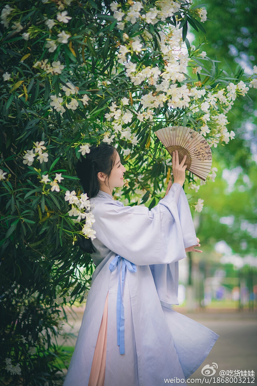 【夹竹桃】妾容似桃萼，郎心如竹枝，桃花有时谢，竹枝无时衰。春园灼灼自颜色，愿言岁晚长相随 via@吃货娃娃