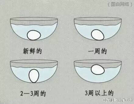 教你如何鉴别新鲜鸡蛋