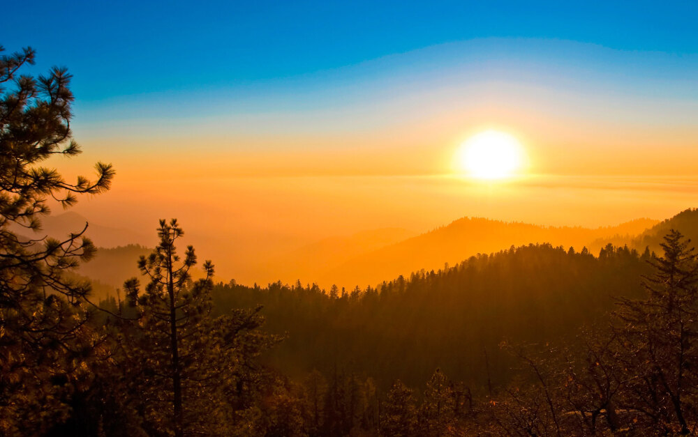 150609 - Sequoia Park, CA, USA BY Romain Guy