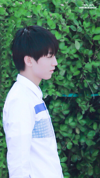 tfboys 王俊凯