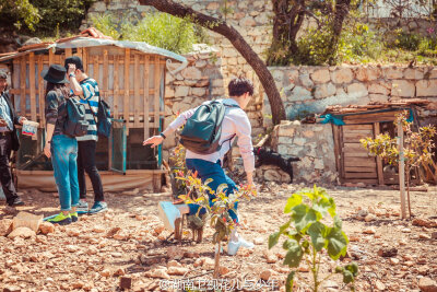 杨洋 花儿与少年