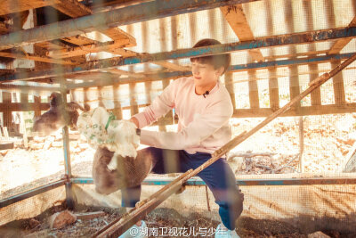 杨洋 花儿与少年