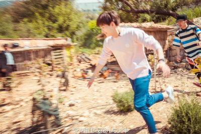 杨洋 花儿与少年