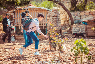 杨洋 花儿与少年