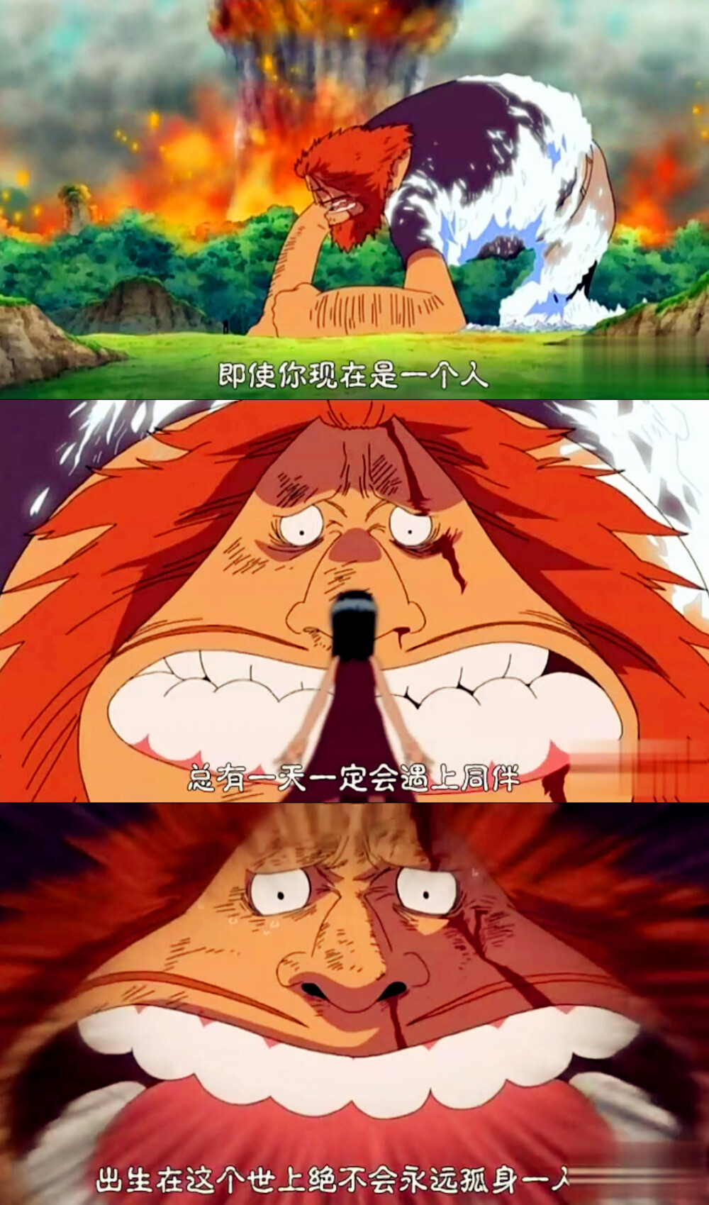 即使你现在是一个人,总有一天一定会遇到伙伴,出生