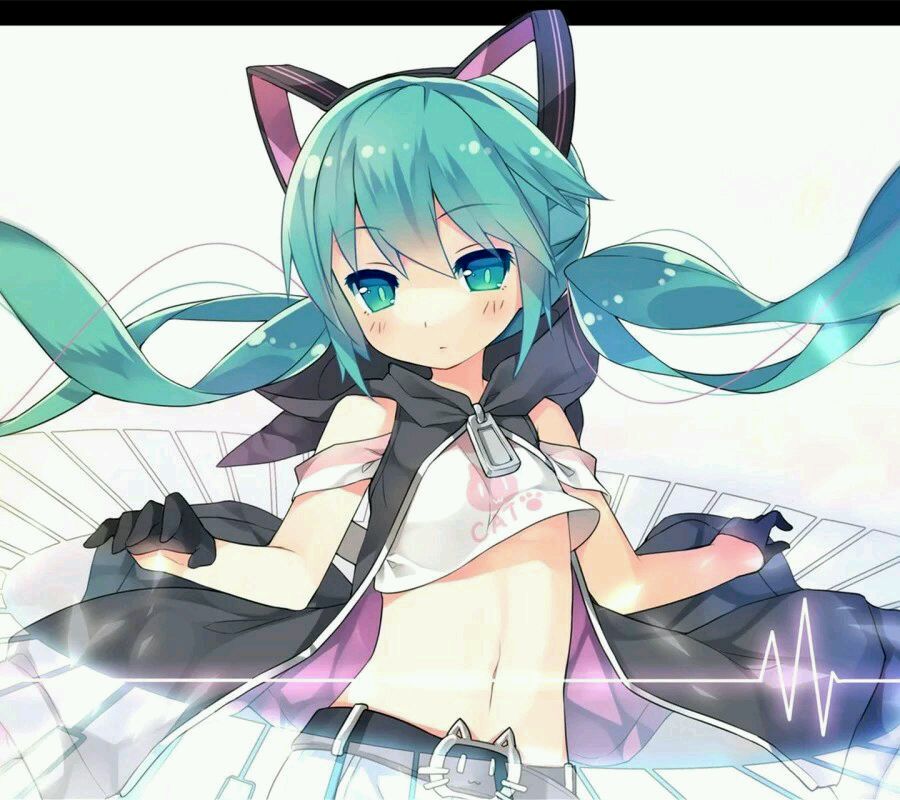 初音 v家当家miku p站