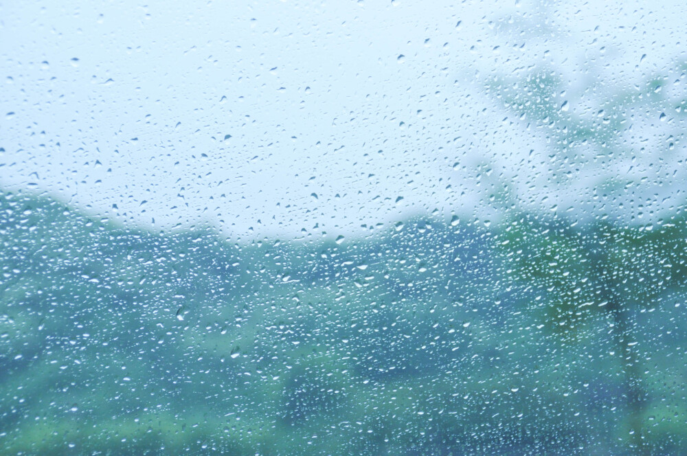 夏雨