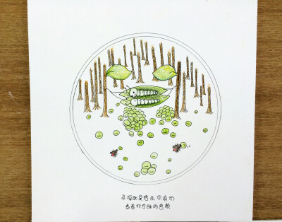 夏青虫之豆荚床