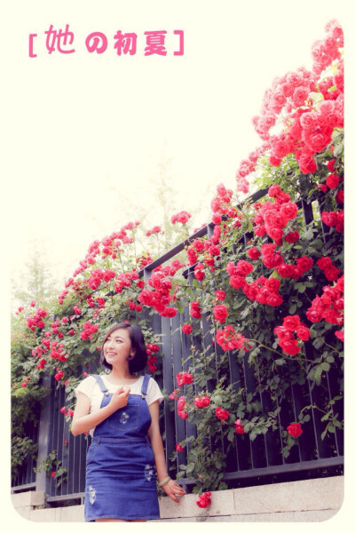 晨风抚绿了芭蕉