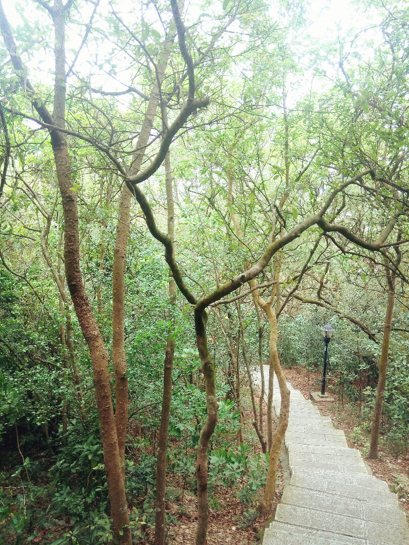 珠海，野狸岛