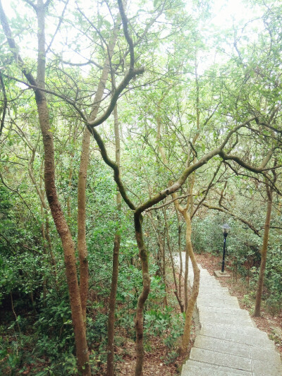 珠海，野狸岛