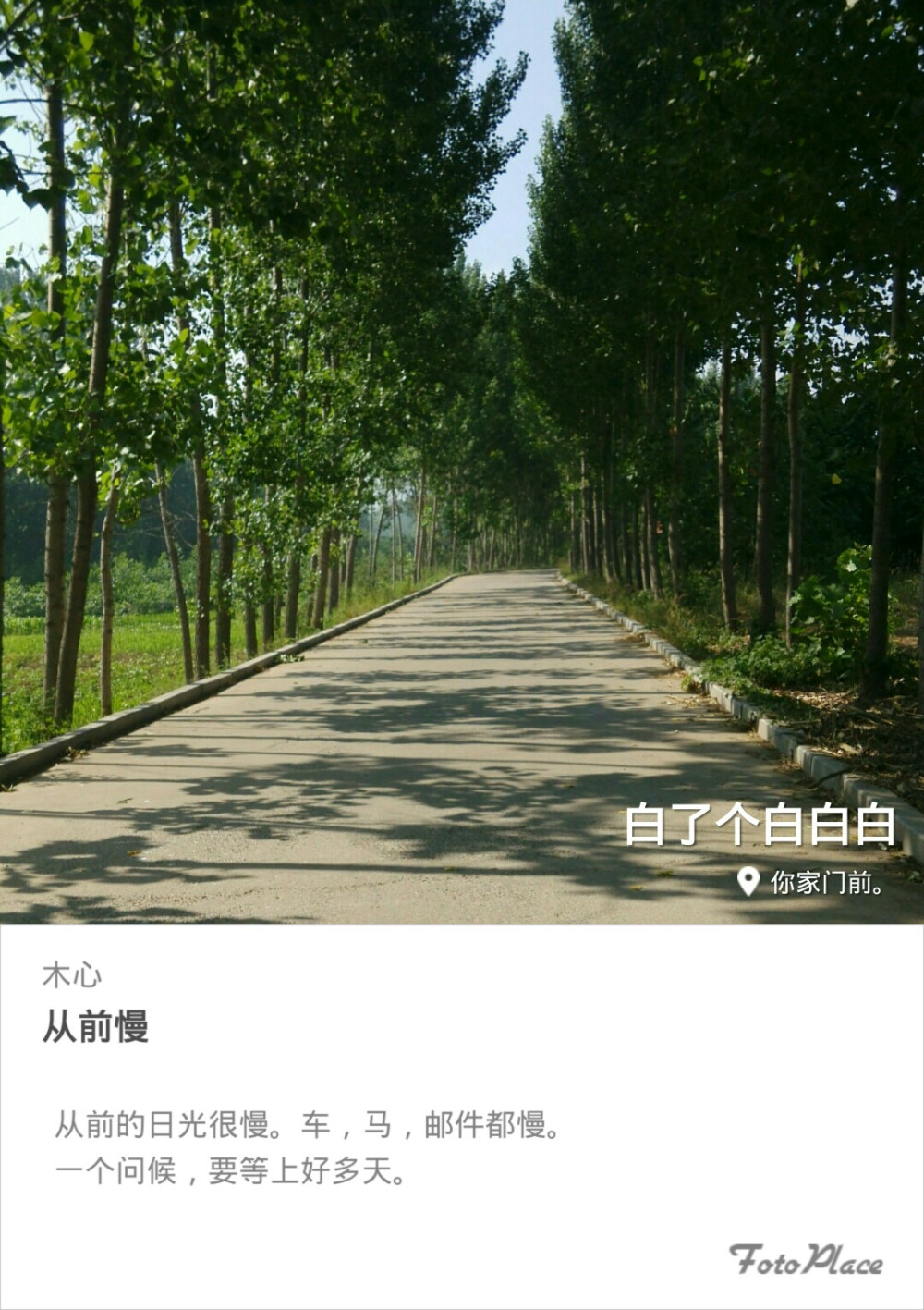 夏日 与妹归家途中随手拍。