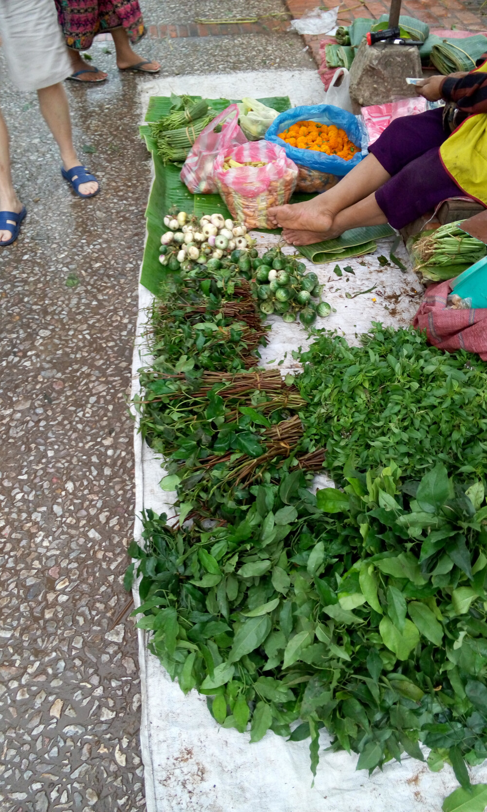 （琅勃拉邦，内心不设防）早市。早市上还有很多野味，价格不贵品种齐全，但是我真心无法接受。