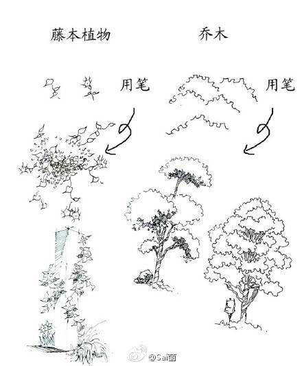 藤本植物