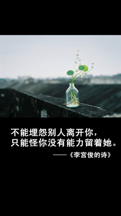 李宫俊的诗文字图片、文字美图、唯美图片、小清新美图、文字控头像、文字控壁纸、iphone6 plus壁纸