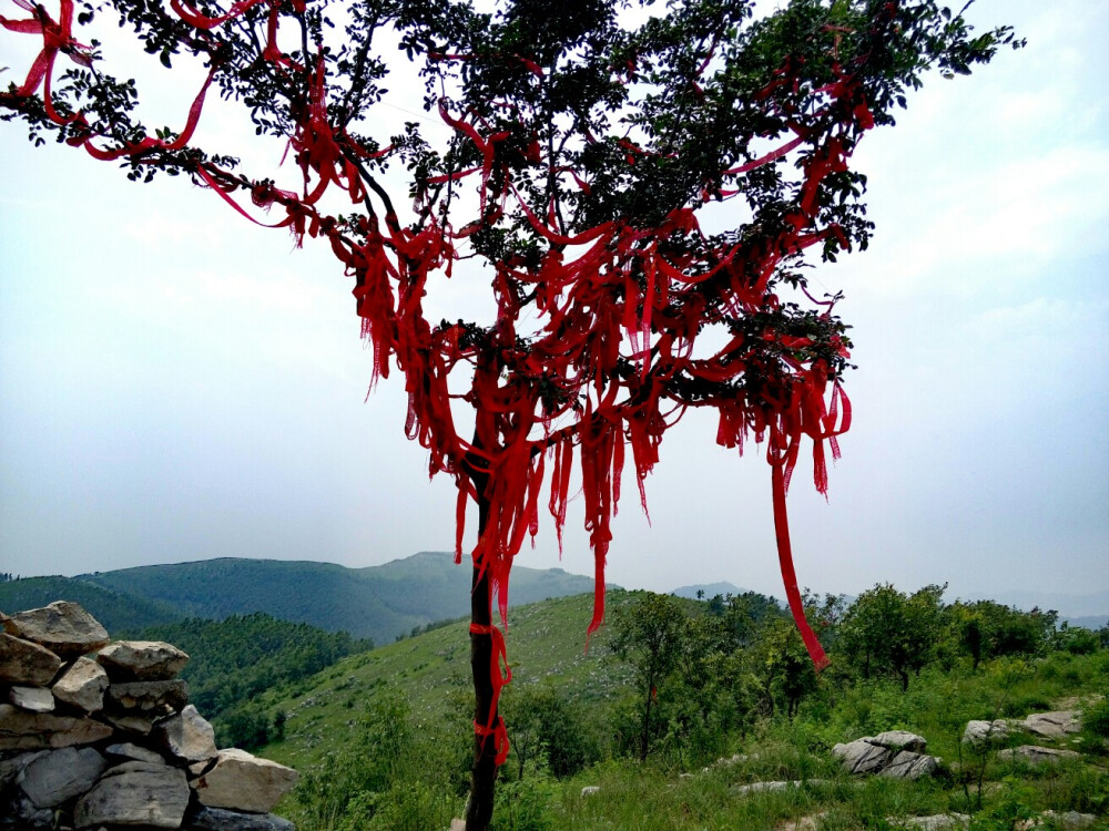 山间祈愿树