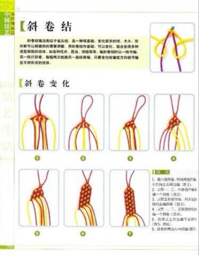 斜卷结及其变化